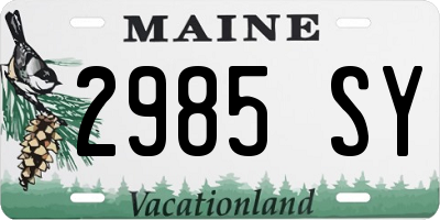 ME license plate 2985SY
