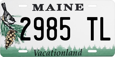 ME license plate 2985TL