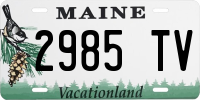 ME license plate 2985TV