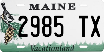 ME license plate 2985TX