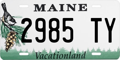 ME license plate 2985TY