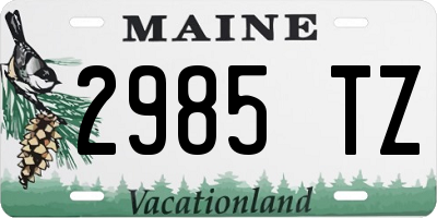 ME license plate 2985TZ