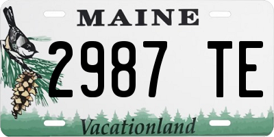 ME license plate 2987TE