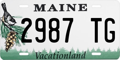 ME license plate 2987TG