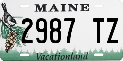 ME license plate 2987TZ