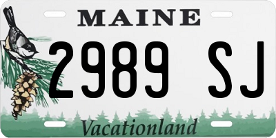 ME license plate 2989SJ