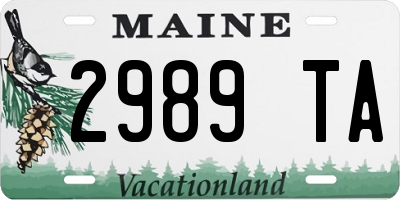 ME license plate 2989TA