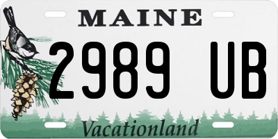 ME license plate 2989UB