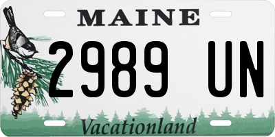 ME license plate 2989UN
