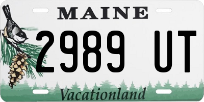 ME license plate 2989UT