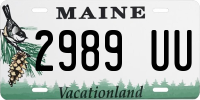 ME license plate 2989UU