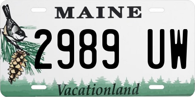 ME license plate 2989UW