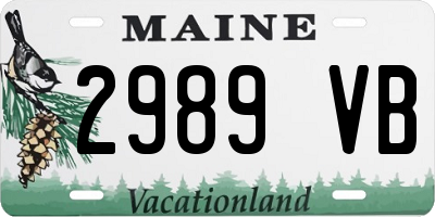 ME license plate 2989VB