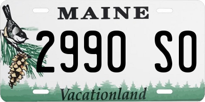 ME license plate 2990SO