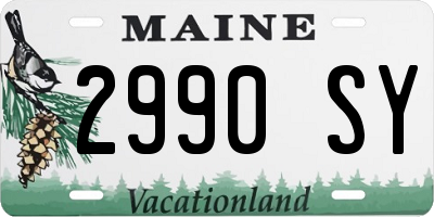 ME license plate 2990SY