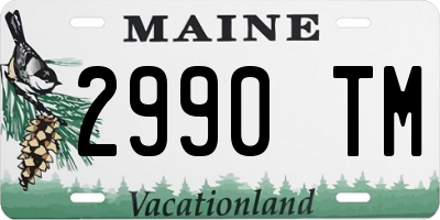 ME license plate 2990TM