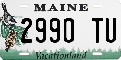 ME license plate 2990TU