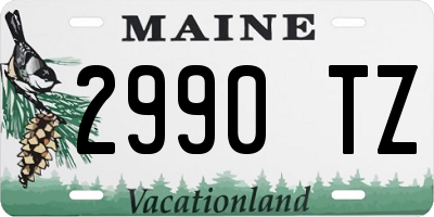 ME license plate 2990TZ