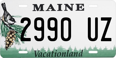 ME license plate 2990UZ