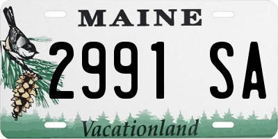 ME license plate 2991SA