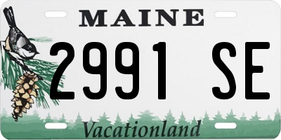 ME license plate 2991SE