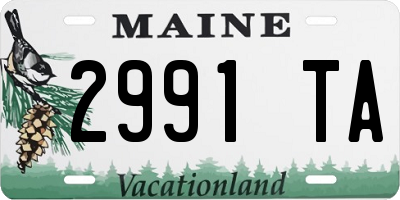 ME license plate 2991TA