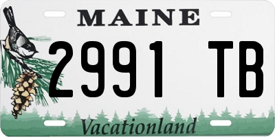 ME license plate 2991TB