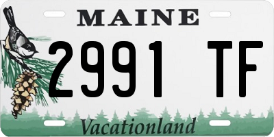 ME license plate 2991TF