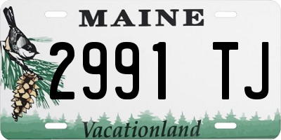ME license plate 2991TJ