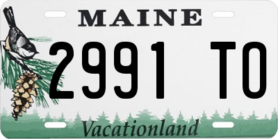 ME license plate 2991TO