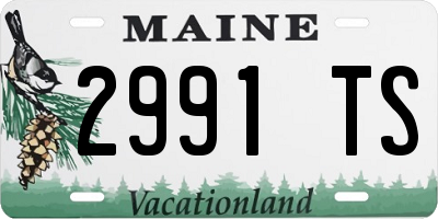 ME license plate 2991TS