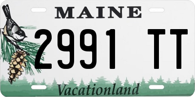 ME license plate 2991TT