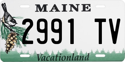 ME license plate 2991TV