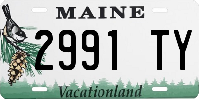 ME license plate 2991TY