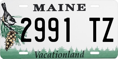 ME license plate 2991TZ