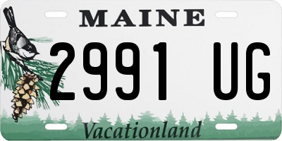 ME license plate 2991UG
