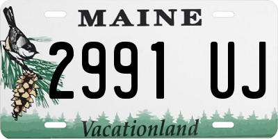 ME license plate 2991UJ