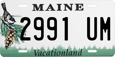 ME license plate 2991UM