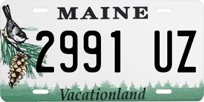 ME license plate 2991UZ