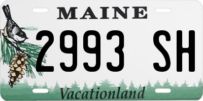 ME license plate 2993SH