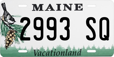 ME license plate 2993SQ