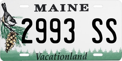 ME license plate 2993SS