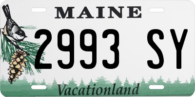 ME license plate 2993SY