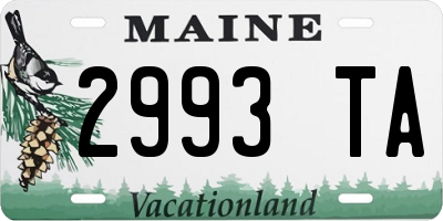 ME license plate 2993TA