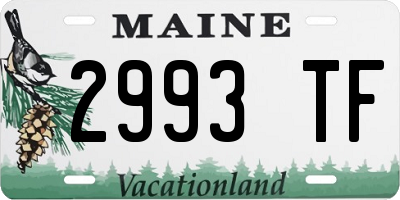 ME license plate 2993TF