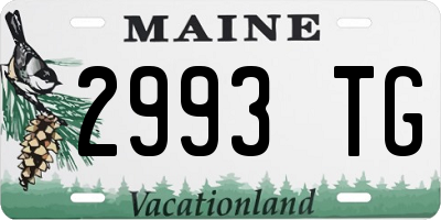 ME license plate 2993TG