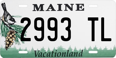 ME license plate 2993TL