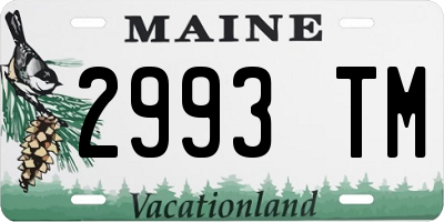 ME license plate 2993TM