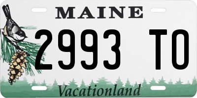 ME license plate 2993TO