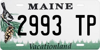 ME license plate 2993TP